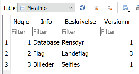 Metainfo Table